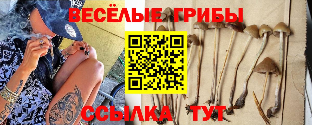 Галлюциногенные грибы ЛСД Реутов