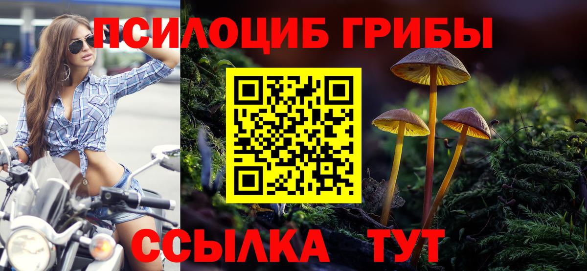 Галлюциногенные грибы MAGIC MUSHROOMS  Вход с VPN  Реутов 
